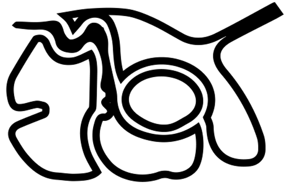 Rumen of a cattle icon