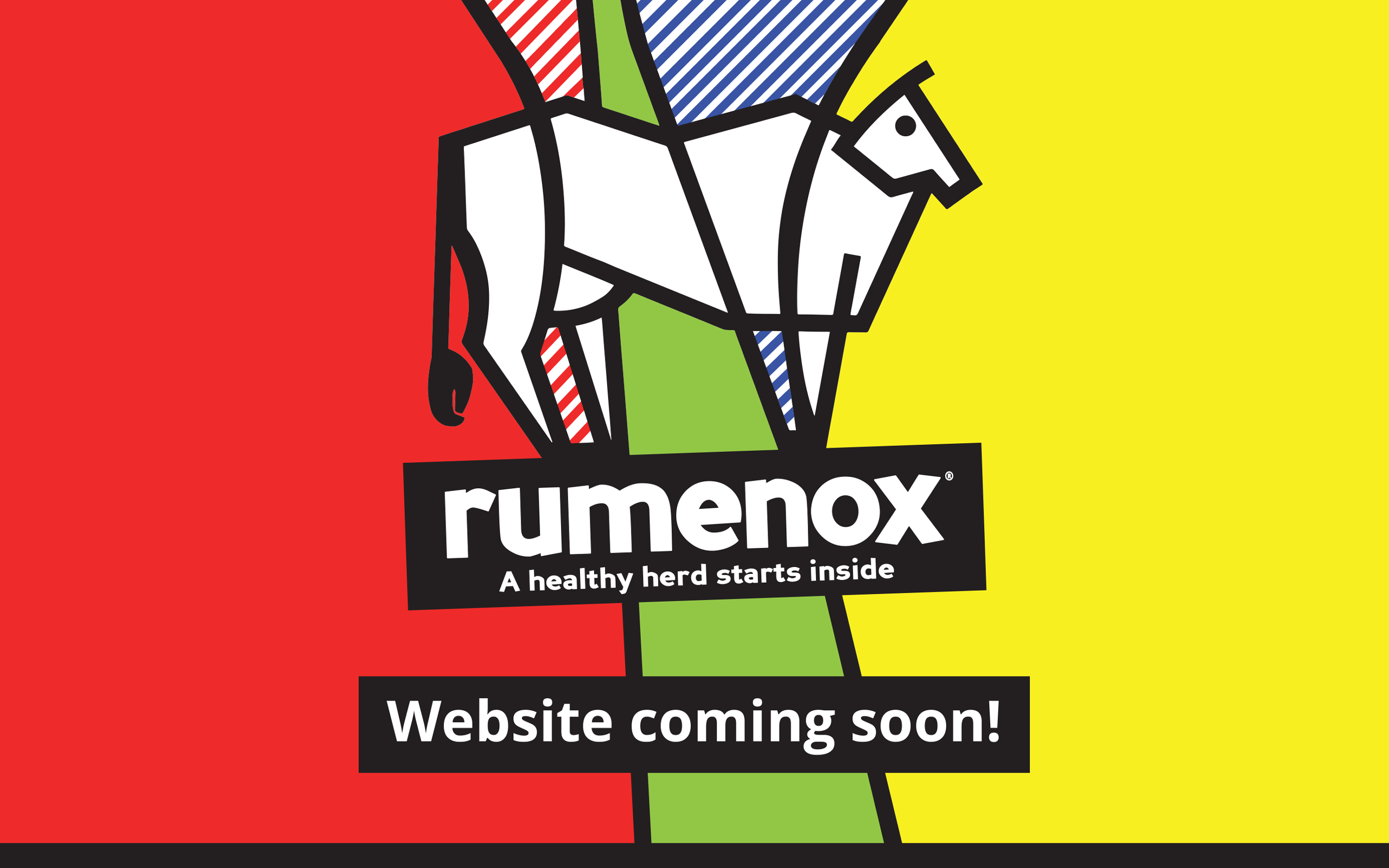 Rumenox - a healthy heard starts inside
